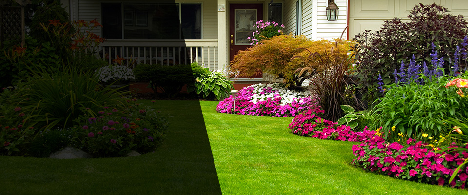 Red Bay Landscapers