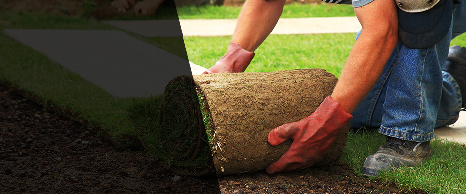 Red Bay Landscapers